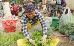 Cặp vợ chồng 20 năm giữa 'đảo hoang', mỗi ngày 2 tạ rau bí bán khắp Hà Nội