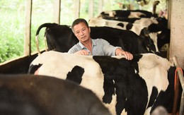 Sữa Cô gái Hà Lan vinh dự đón tiếp thứ trưởng Hà Lan đến thăm dự án phát triển vùng chăn nuôi bò sữa bền vững