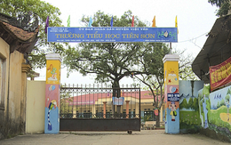Thầy giáo 'sờ mông và đùi' học sinh bị chuyển làm hành chính