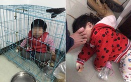 Bố nhốt con 20 tháng tuổi vào chuồng chó rồi gửi ảnh cho vợ cũ