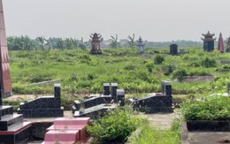 Hải Phòng: Thiếu chỗ chôn, nhiều xã đem lợn chết chôn trong nghĩa trang thôn