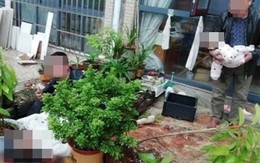 Mẹ ôm con gái 4 tháng tuổi nhảy lầu từ tầng 19, nguyên nhân khiến ai cũng đau đớn