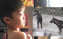 Vụ cháu bé 7 tuổi bị đàn chó tấn công tử vong: Nhiều nạn nhân đã từng bị chó cắn