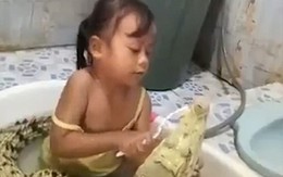 Bé gái tắm và đánh răng cho cá sấu