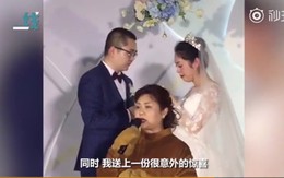 Bất ngờ xuất hiện tại đám cưới mang theo hộp nhẫn, chú gấu bông vừa tiết lộ thân phận đã khiến cô dâu chú rể bật khóc ngay tại chỗ