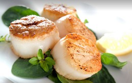 Cồi sò điệp Nhật 10 triệu/kg mang về Việt Nam cung không kịp cầu