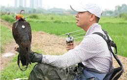 Thú chơi chim ăn thịt đi săn mồi độc đáo ở Hà Nội