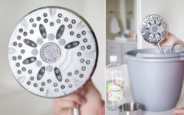 Rùng mình khi biết tác hại của việc không vệ sinh vòi hoa sen - thứ mà ai cũng nghĩ là sạch nhất trong nhà tắm