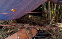 Em họ sát hại anh, kéo xác ra cổng