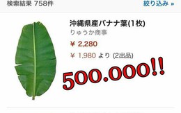 Combo 5 chiếc lá chuối giá tận 1.168.000 đồng bán trên trang mạng nước ngoài gây choáng váng