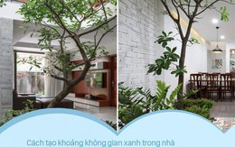 Dù nhà nhỏ tới đâu nếu áp dụng cách này sẽ luôn tạo được khoảng không gian xanh trong nhà