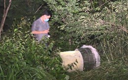 Hành trình khám phá vụ giết người dã man tại căn nhà thuê ở Bình Dương