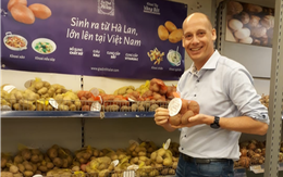 Mang sự kỳ diệu của khoai tây Hà Lan đến với 2.000 nông dân Việt