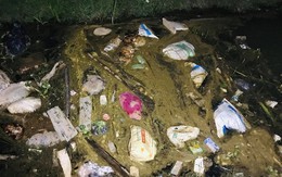 Hà Tĩnh: Hàng chục con lợn chết bọc trong bao tải trôi trên kênh