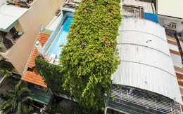 "Nhà biết thở" xanh rì dây leo ở TPHCM gây ấn tượng trên báo ngoại