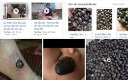 Hạt đậu Lào được dân mạng đồn thổi “thần kì, chữa bách bệnh”: Sự thật được chuyên gia tiết lộ sẽ khiến bạn “ngã ngửa”