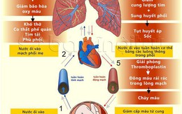 Tai biến sản khoa vừa khiến sản phụ ở Hà Tĩnh tử vong nguy hiểm đến mức nào?