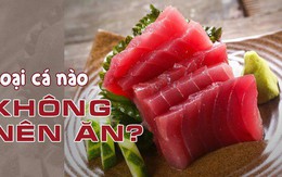 Ăn cá rất tốt, nhưng 4 loại cá này không nên ăn tùy tiện, không có lợi cho sức khỏe