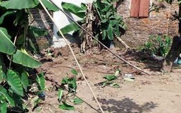 Khởi tố bác họ sát hại, phi tang xác cháu ở Hà Nội