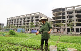 Dự án Trường Mùa Xuân ở Long Biên bị người dân phản đối, chủ đầu tư nói gì?