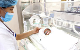 Em bé sinh non chỉ nặng 9 lạng ở Phú Thọ “hồi sinh” ngoạn mục
