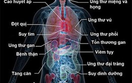 Uống rượu bia thường xuyên: 5 cơ quan nội tạng "bốc hơi" đáng giật mình