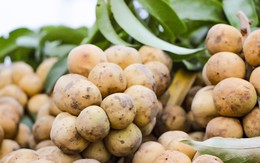 Boòng boong giá 90.000 đồng/kg, nhiều người nhấc lên đặt xuống
