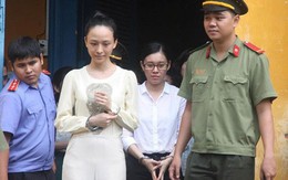 Viện kiểm sát nói về vụ Phương Nga tố cáo ông Cao Toàn Mỹ