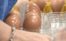 Nhân viên siêu thị bị phạt 3 tháng tù giam và 70 triệu đồng vì ăn vụng 2 quả trứng giá 14 nghìn