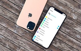 iOS 13 tiết lộ những điều thú vị trên iPhone 11