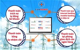 Dịch vụ điện trực tuyến cấp độ 4 – Cấp độ đột phá trong ngành Điện