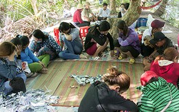Sòng bạc 'quý bà' trong vườn trái cây ở miền Tây