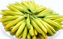 Hoa kim châm giá nửa triệu đồng/kg vẫn tranh nhau mua vì chỉ có ở mùa hè