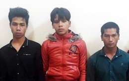 Nhóm thanh niên bị bắt vì cướp 8 con gà
