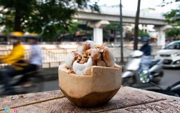 Bán dạo kem dừa Thái Lan, kiếm tiền triệu mỗi ngày ở Hà Nội