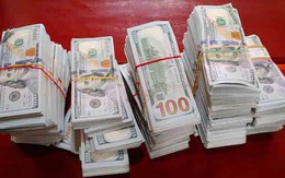 Nhóm người vứt lại gần nửa triệu USD để bỏ chạy
