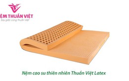 Nệm cao su Thuần Việt Latex – Nệm cao su thiên nhiên cao cấp