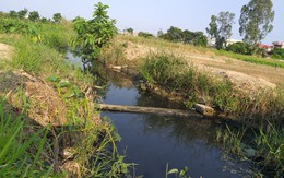 Hải Phòng: Hàng chục hecta ruộng ở huyện An Dương bỏ hoang vì mương thủy lợi ô nhiễm