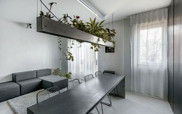 Căn hộ nhỏ 35m² trở thành tâm điểm độc đáo nhờ dát bằng kim loại lâu năm