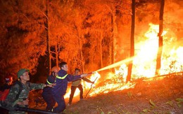 Tạm giữ một đối tượng nghi gây cháy rừng ở Nghi Xuân