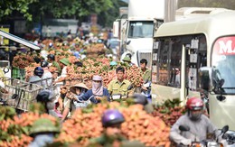 Vải thiều 50.000 đồng/kg, người dân ùn ùn chở xuống chợ