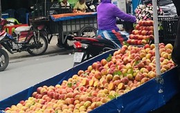 Đào Trung Quốc ‘gắn mác’ Sapa bán la liệt tại Sài Gòn