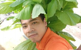 Với kinh nghiệm 10 năm trồng rau bằng phương pháp khí canh, sân thượng nhỏ của chàng trai trẻ ở Sài Gòn thu hoạch cả tạ rau mỗi tháng