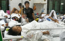 Diễn biến mới vụ bà cụ bị chó dữ tấn công phải nhập viện ở Hà Nội