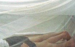 Gã hàng xóm chui vào mùng đòi cưỡng hiếp bé gái 14 tuổi