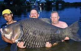 80 phút vật lộn bắt con cá chép lớn nhất thế giới