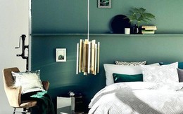 Thiết kế nhà màu xanh lá 44m² nhỏ xinh giữa lòng thành phố