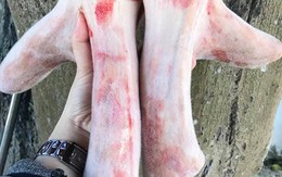 Chi hàng chục triệu đồng, đại gia Việt tranh nhau săn lùng sừng con vật này