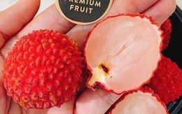 100.000 đồng một quả vải không hạt Nhật bán tại Việt Nam