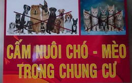 Nuôi chó, mèo trong chung cư và những câu chuyện dở khóc dở cười